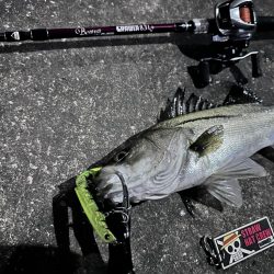 はじめてちゃんとバチ抜けパターンやれた！