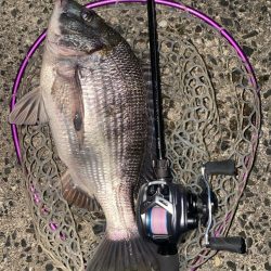 夕まずめチニング!