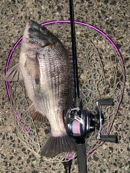 夕まずめチニング!