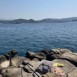 マダイの磯釣り