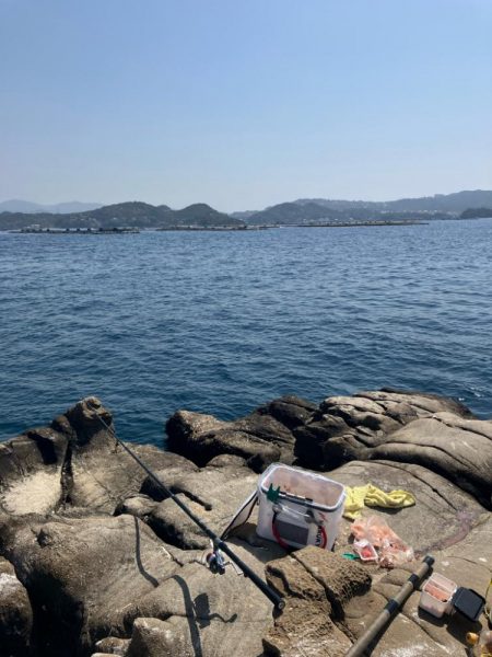 マダイの磯釣り
