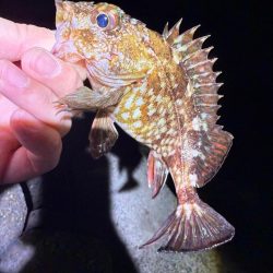 寒い！寒すぎる！