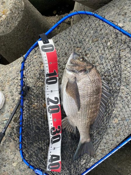 ストレートフック活躍