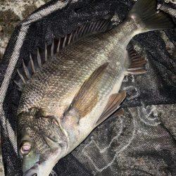 ヘチってきました