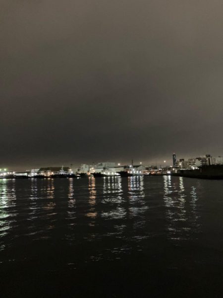 サイズは良いが、ガリガリ君