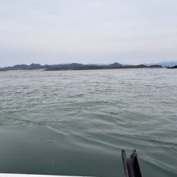 鳥取港近海アジサビキ｜雨の影響か？激渋で撃沈！