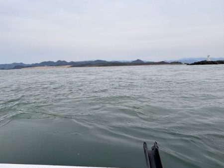 鳥取港近海アジサビキ｜雨の影響か？激渋で撃沈！