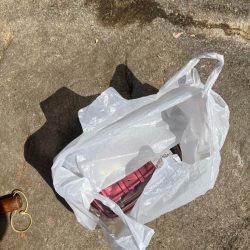 清掃活動：マダイの磯釣り