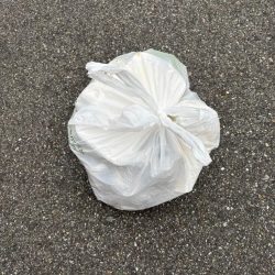 清掃活動：エビ撒き　チヌ好調です♪