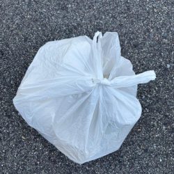 清掃活動：エビ撒き好調でした！