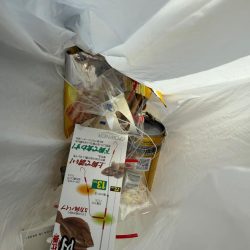 清掃活動：花見ガレイを狙いに