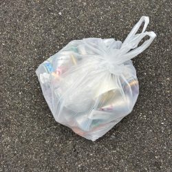 清掃活動：撒き餌が無くなりかけにおチヌ様