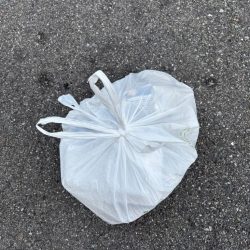 清掃活動：久々のセイゴさん