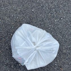 清掃活動：エビ撒き好調です！