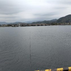 今シーズン初。