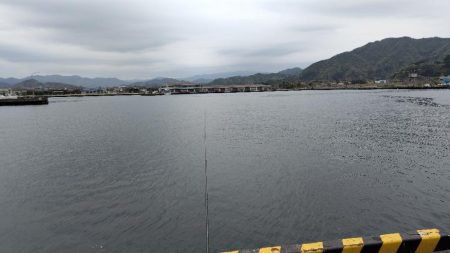 今シーズン初。