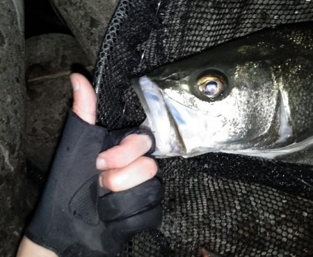 ランカーキャッチ♪