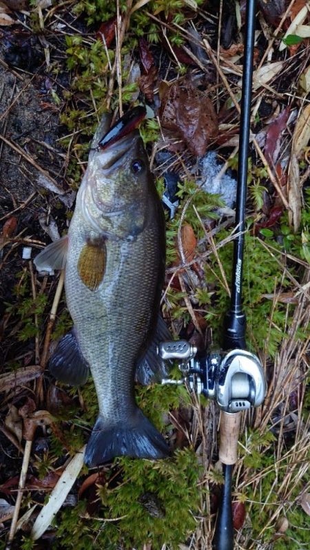 春のクランキン！