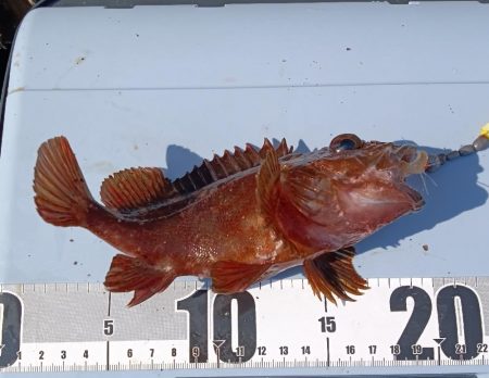 ちょい穴釣り〜大磯〜