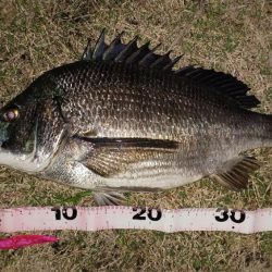 カラーローテーション