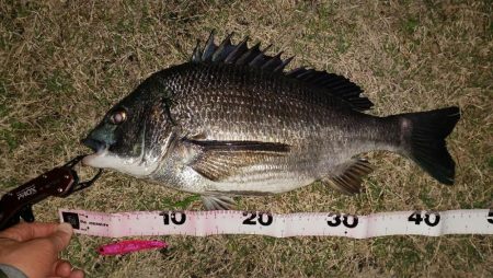 カラーローテーション