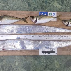 3度目になる春の太刀魚チャレンジ