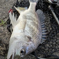 春爆チニングin呉