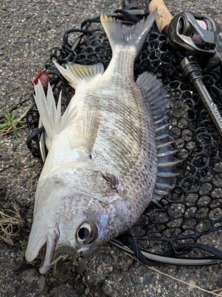 春爆チニングin呉