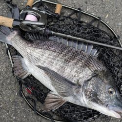 春爆継続広島チニング！