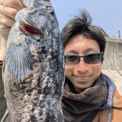 今日も広島チニング!クロソイ有りWヒット有り