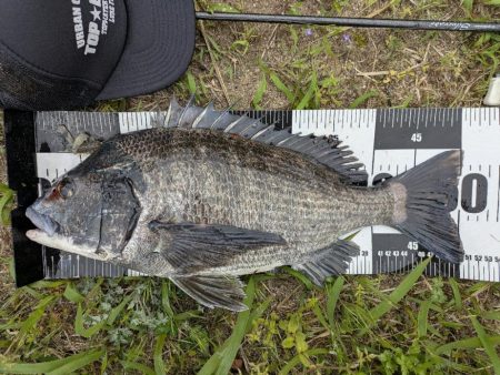 広島チニング〜トップ、敷石、年無し〜