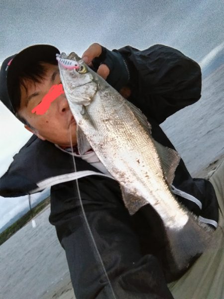 ヒラセイゴ釣れました!