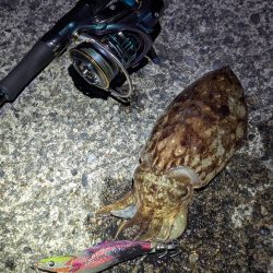 寒すぎた:;((•﹏•๑)));: