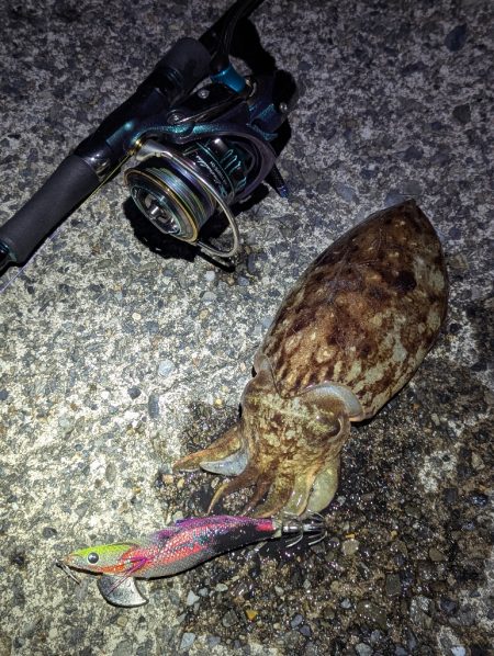 寒すぎた:;((•﹏•๑)));: