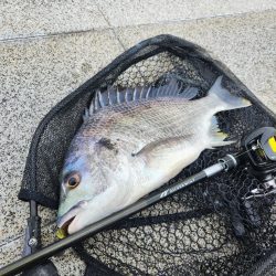 スキマチニング