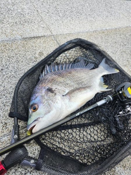 スキマチニング