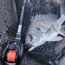 しごおわチニング