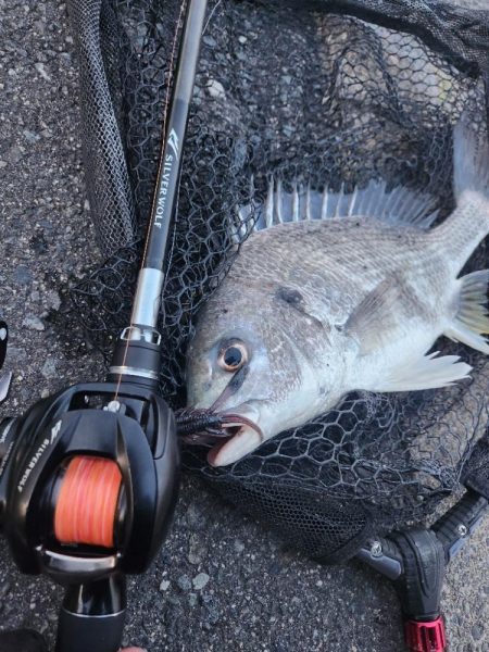 しごおわチニング