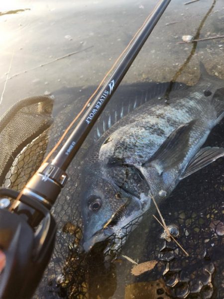 春爆チニング！