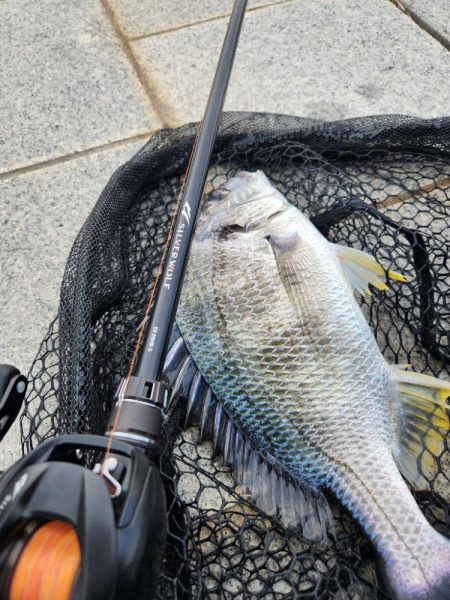 ずる止めチニング