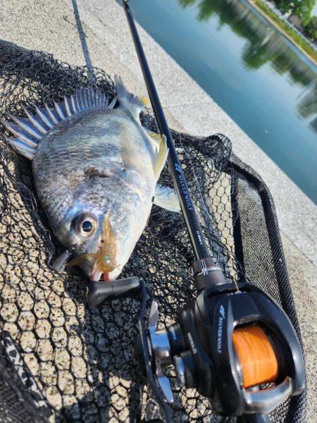 スキマチニング