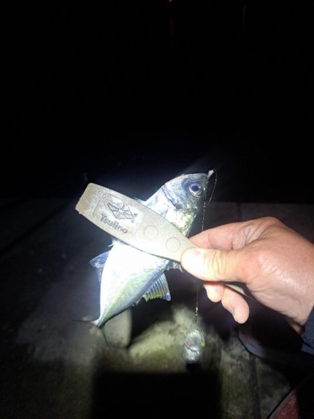 勢い良く沈み続ける電気ウキ