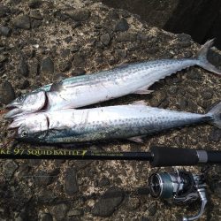 最近のデイゲーム