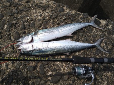 最近のデイゲーム