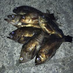 連敗脱出メバリング