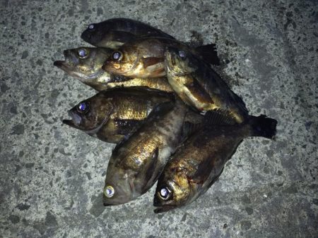 連敗脱出メバリング