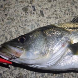 バイトミス多め💦