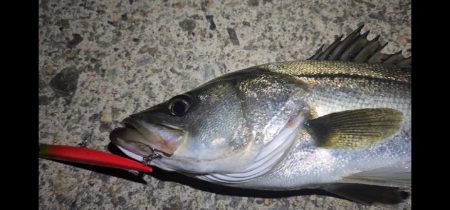 バイトミス多め💦