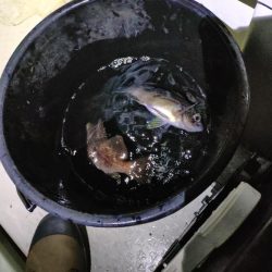 暴風メバルサビキ