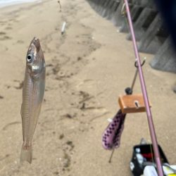 まだキスの接岸には早かったようです